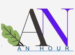 AN HOUR